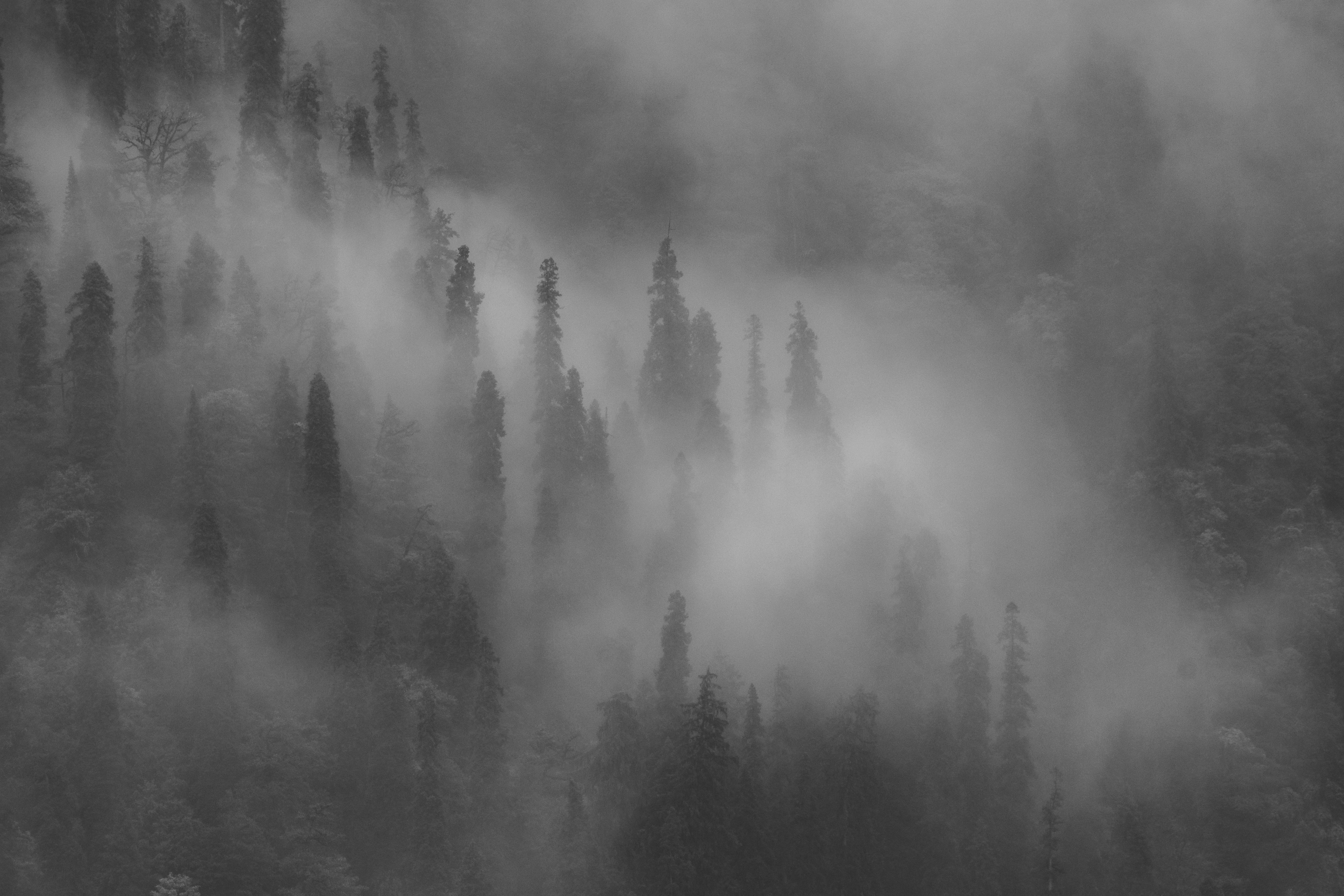 The Great Himalayan National Park