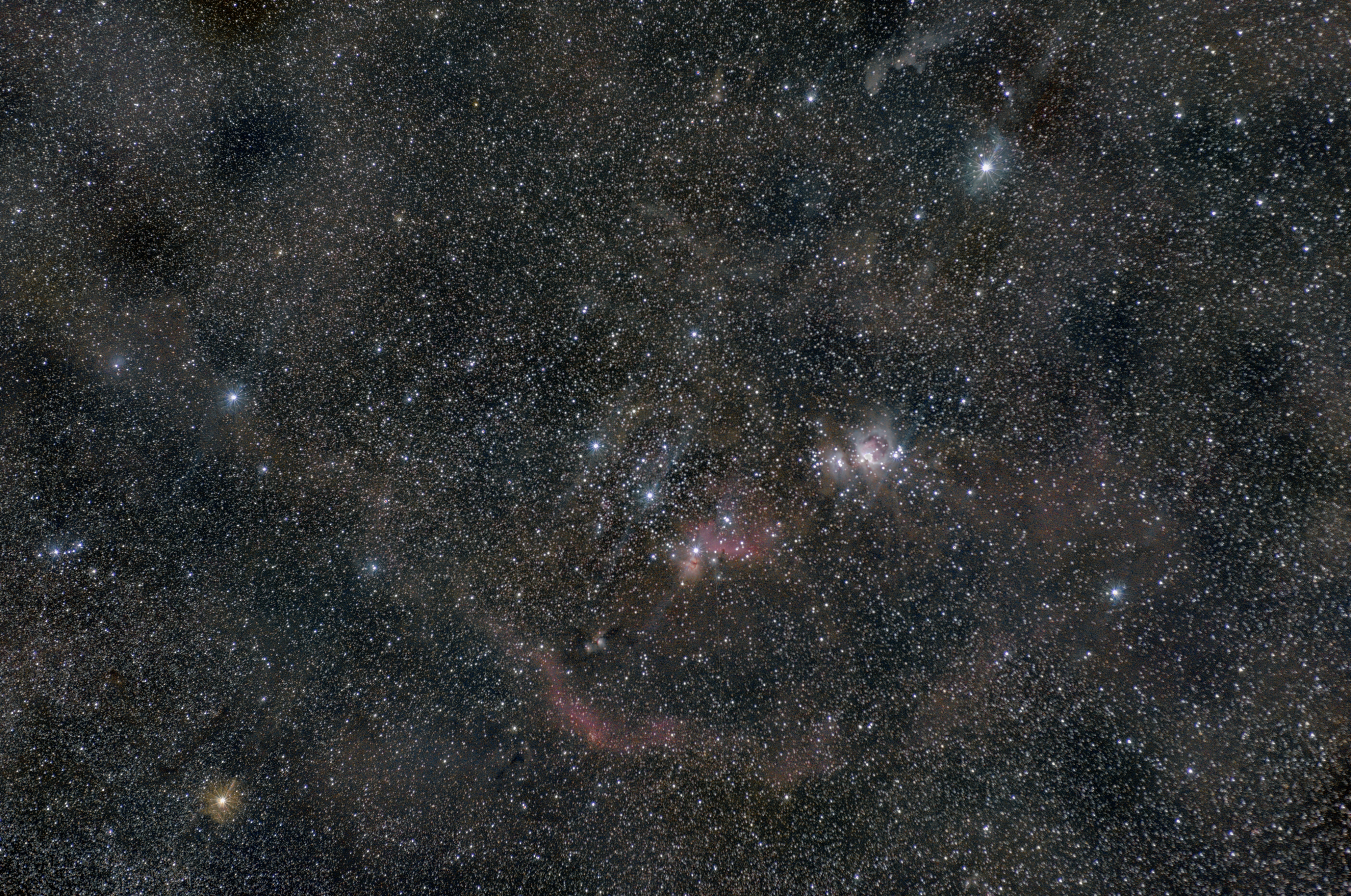 Orion