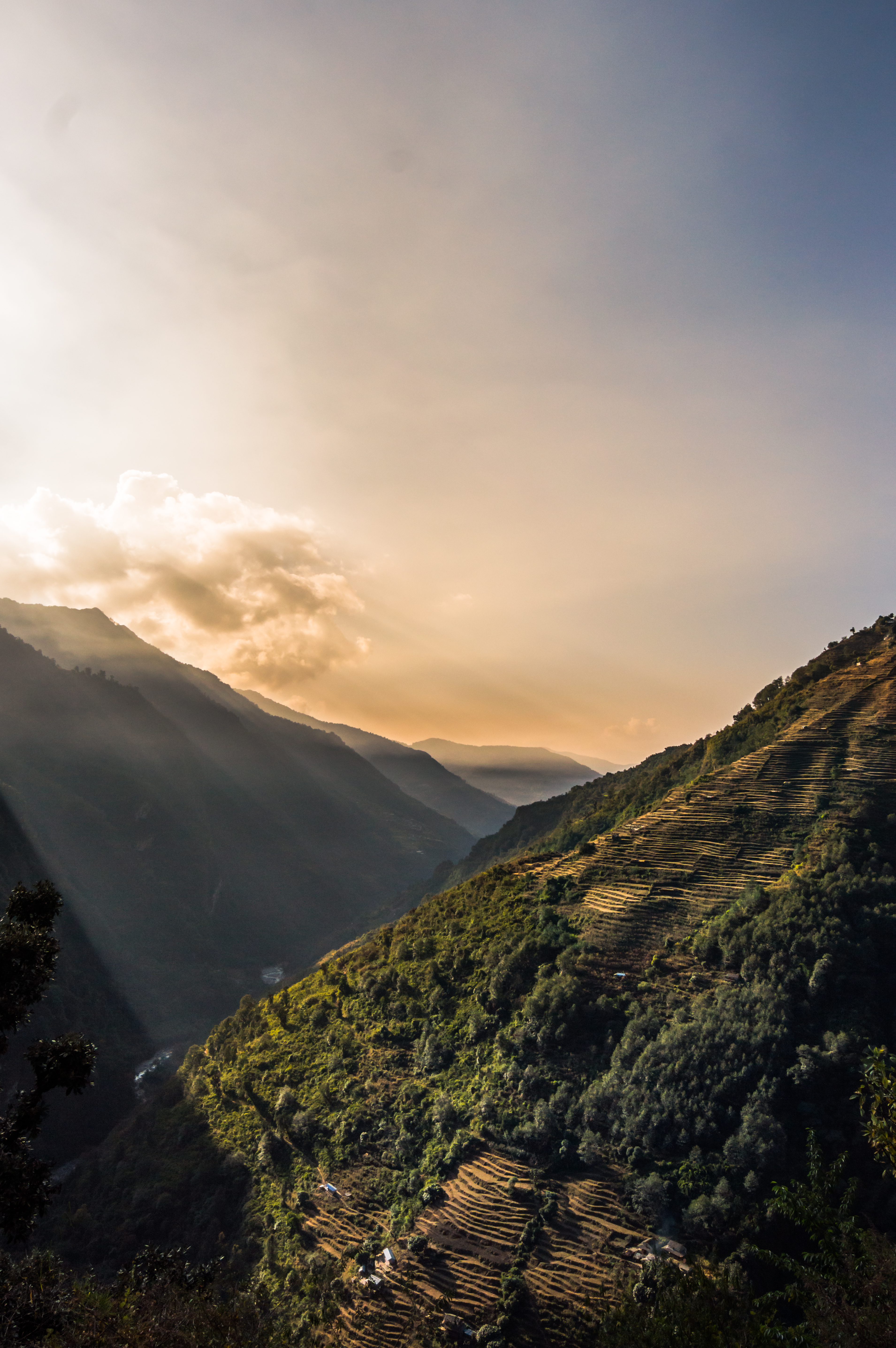 Terraced farming in Nepal